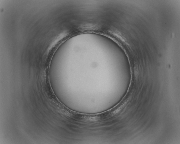 X0000074231309200609151636