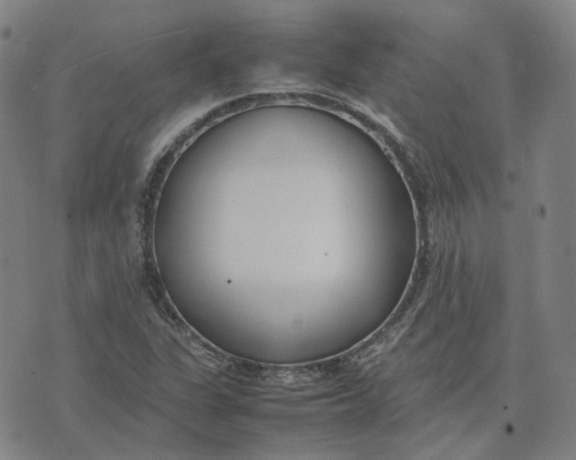 X0000074231311200609151636