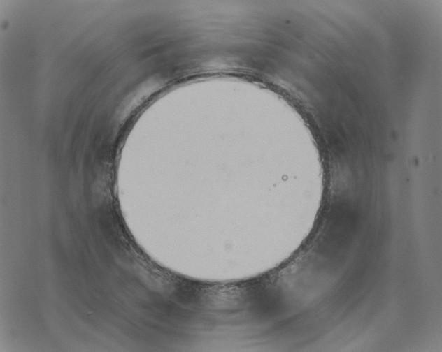 X0000074231314200609151636