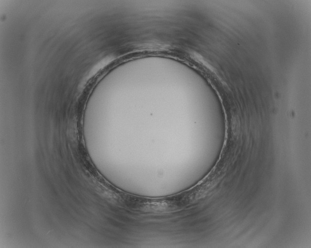 X0000074231315200609151636