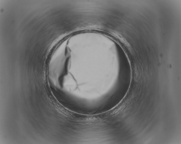 X0000074231316200609151636