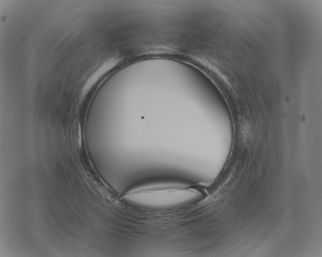 X0000074231317200609151636