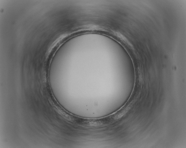 X0000074231318200609151636