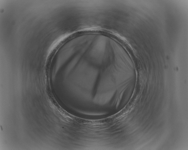 X0000074231319200609151636