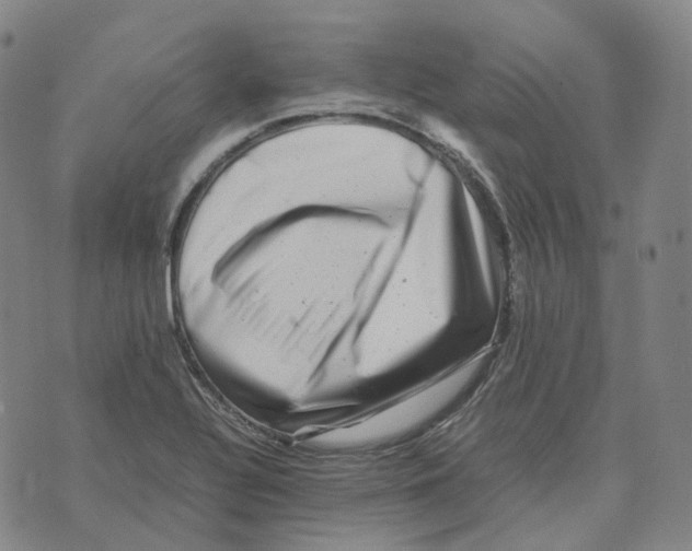 X0000074231320200609151636