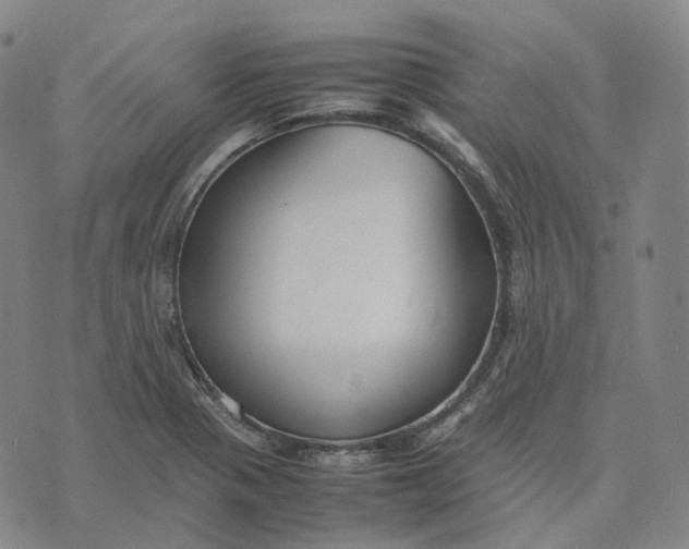 X0000074231321200609151636