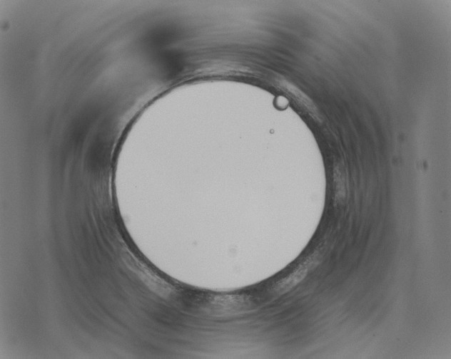 X0000074231322200609151636