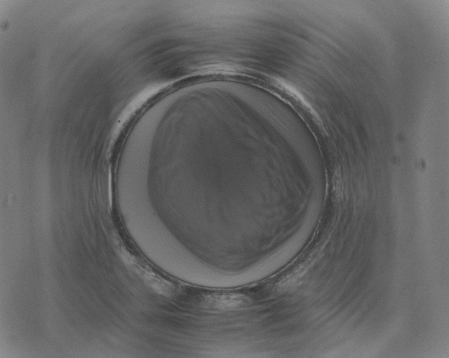 X0000074231323200609151636