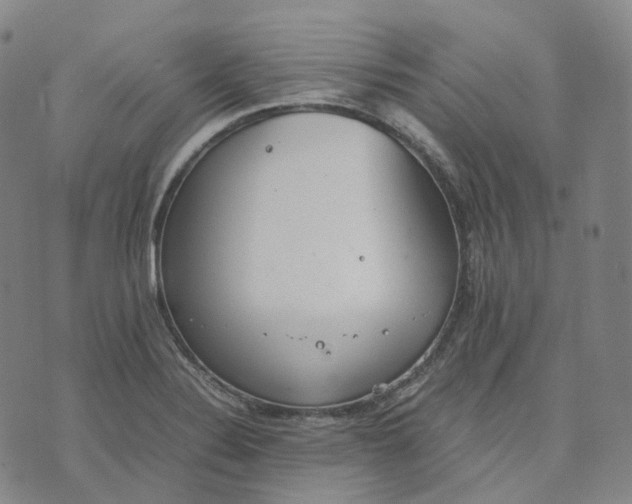 X0000074231324200609151636