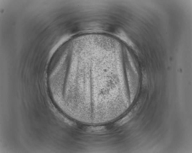 X0000074231325200609151636