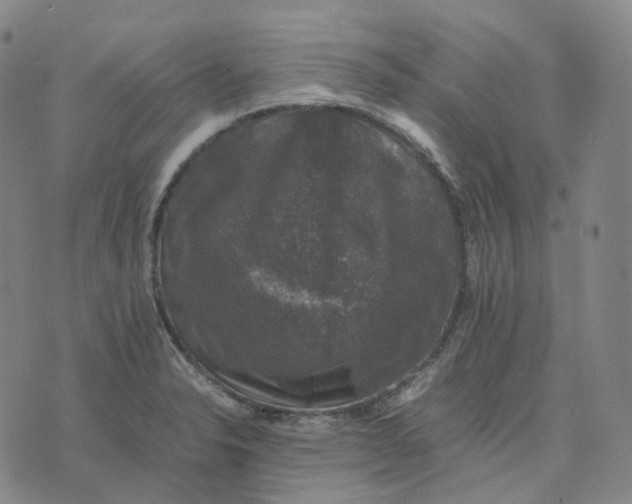 X0000074231326200609151636