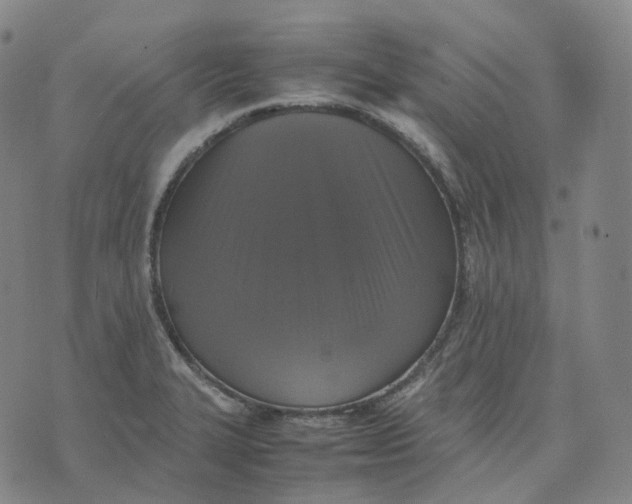 X0000074231327200609151636