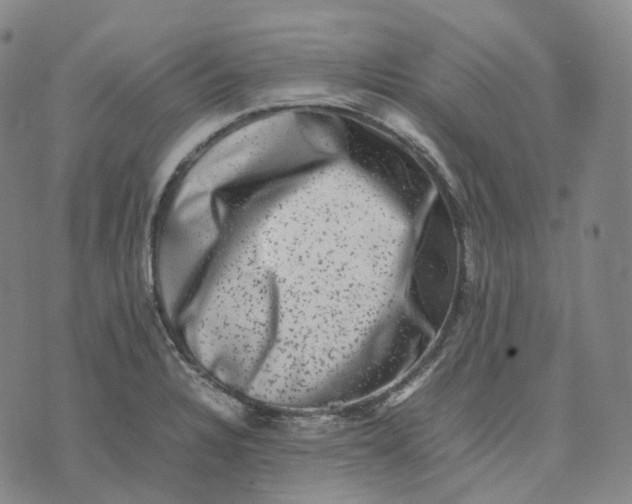 X0000074231328200609151636