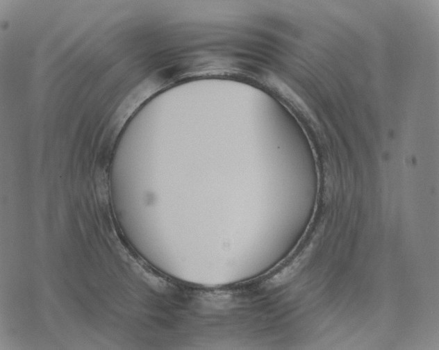 X0000074231329200609151636