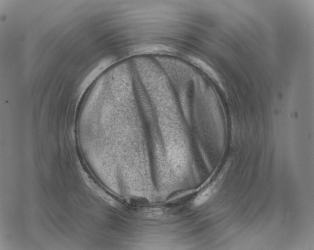 X0000074231330200609151636