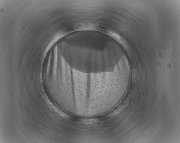 X0000074231331200609151636