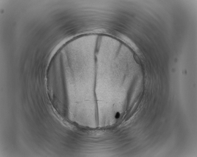 X0000074231332200609151636