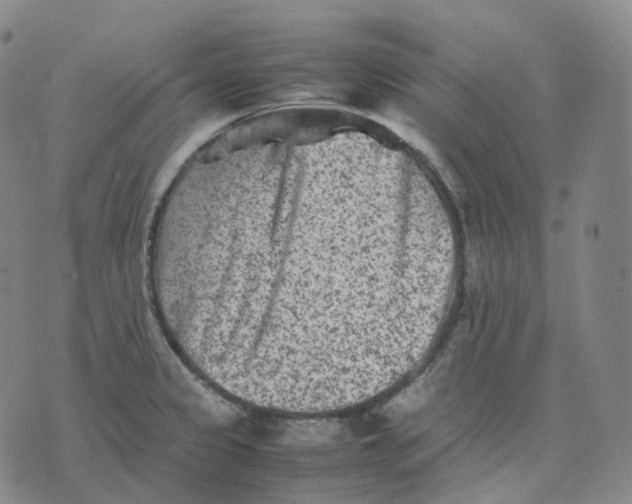 X0000074231333200609151636