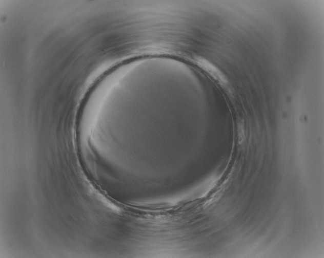 X0000074231334200609151636