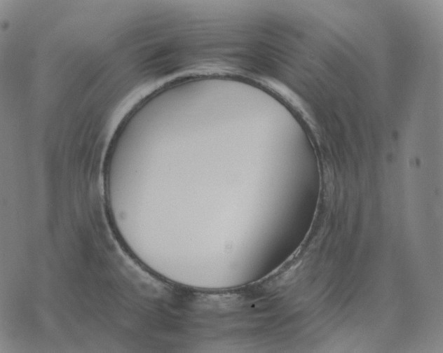 X0000074231335200609151636