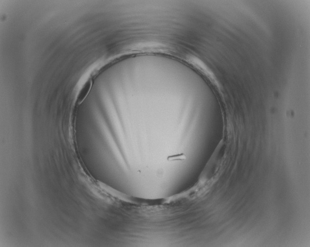 X0000074231336200609151637