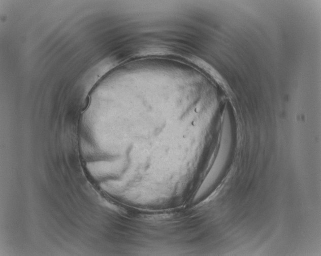 X0000074231337200609151637