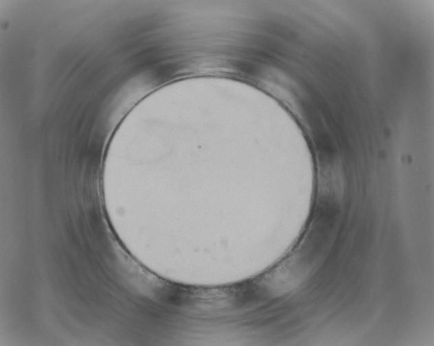 X0000074231338200609151637