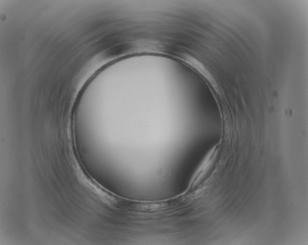 X0000074231339200609151637