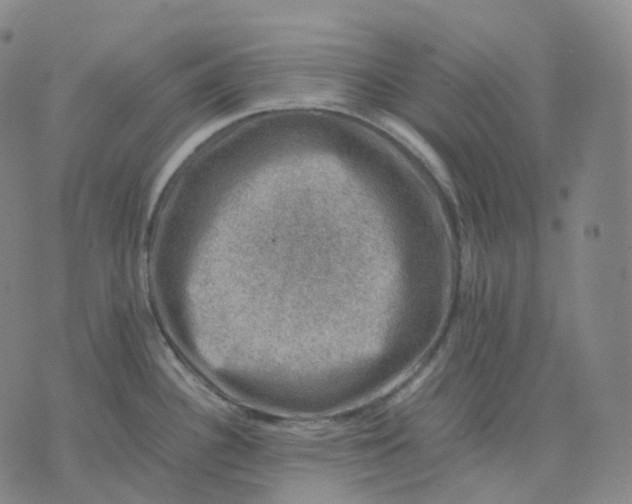 X0000074231340200609151637