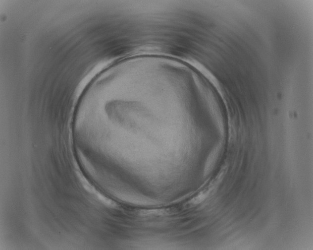 X0000074231341200609151637