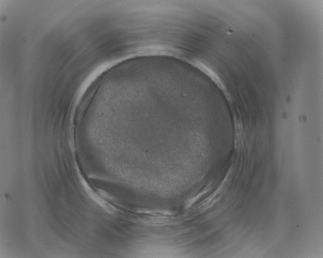 X0000074231342200609151637