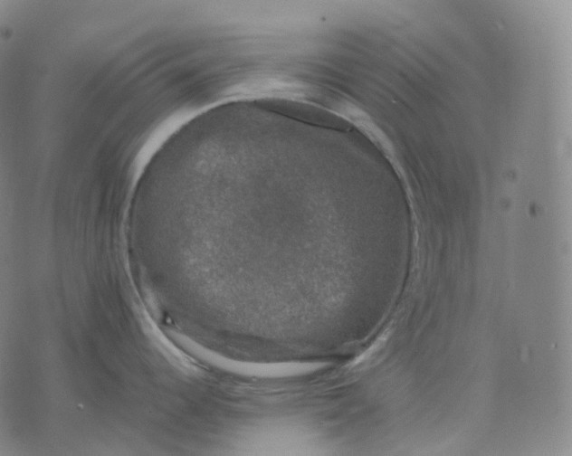 X0000074231344200609151637