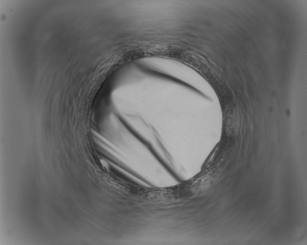 X0000074231345200609151636