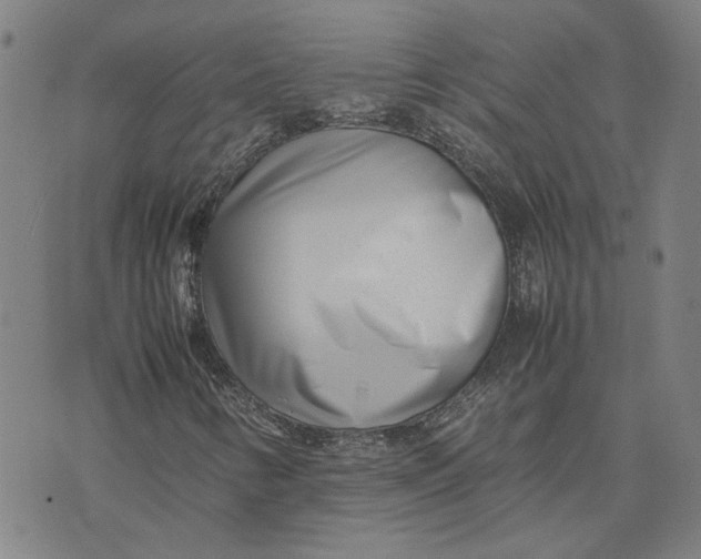 X0000074231346200609151636