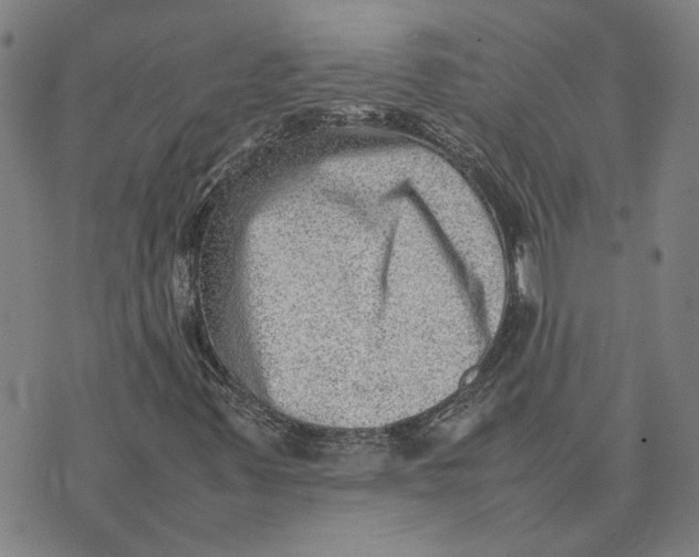 X0000074231347200609151636