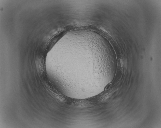 X0000074231348200609151636