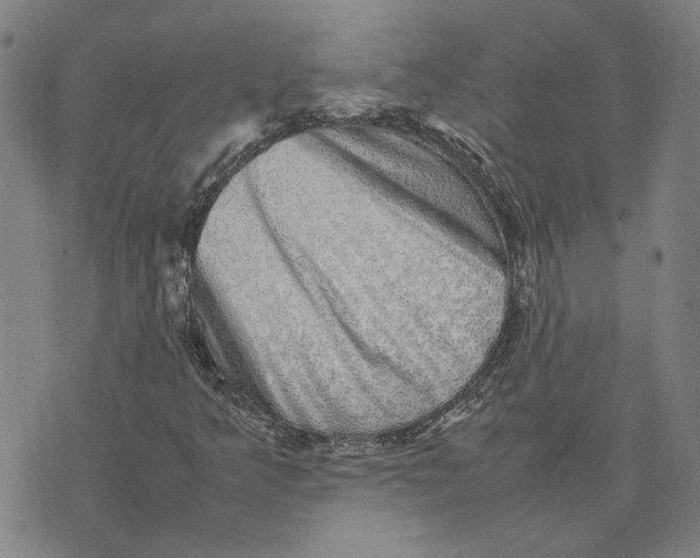 X0000074231349200609151636