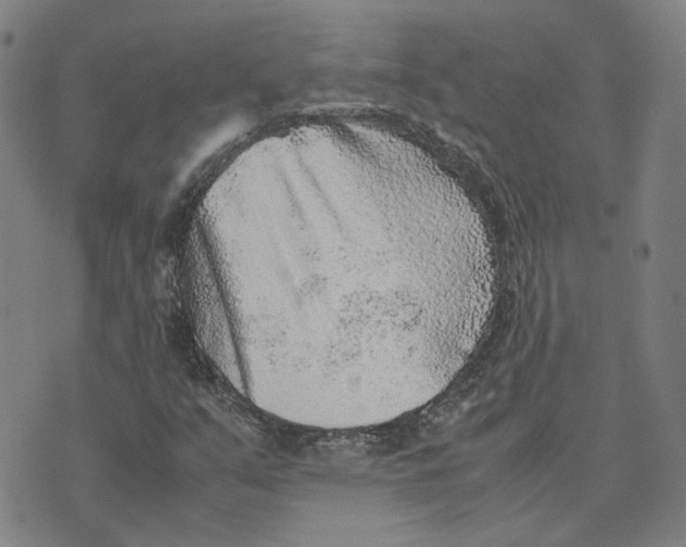 X0000074231351200609151636