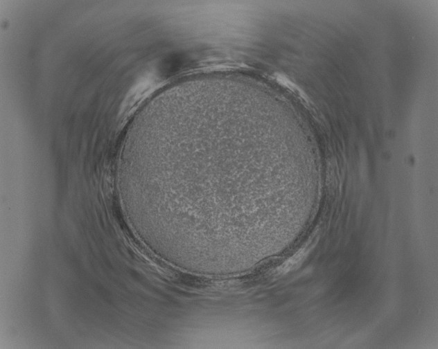 X0000074231353200609151636