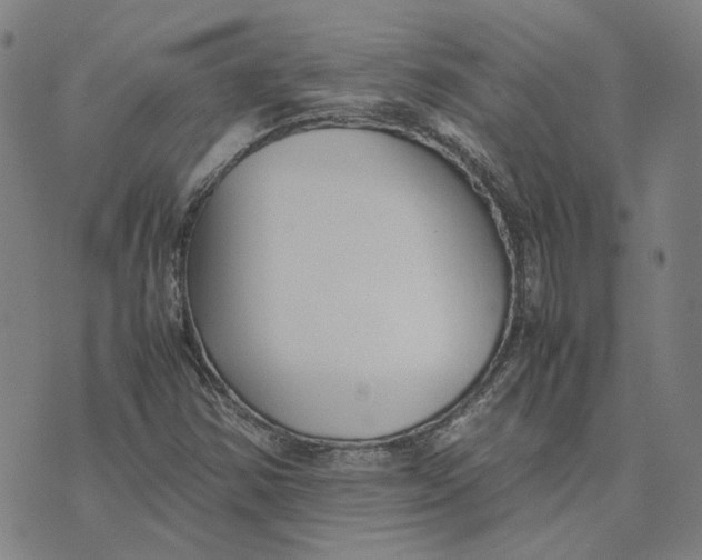 X0000074231354200609151636