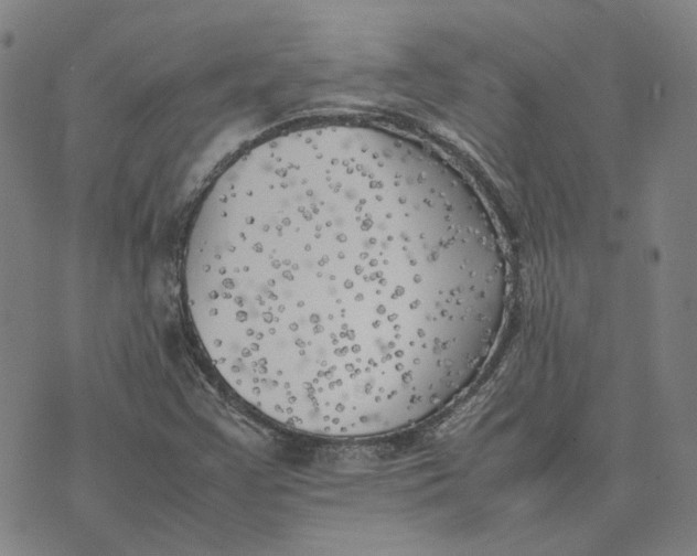 X0000074231355200609151636