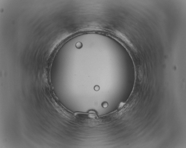 X0000074231356200609151636