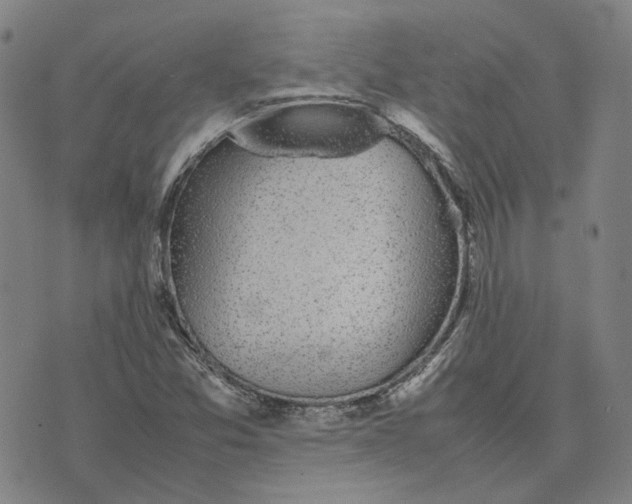 X0000074231357200609151636