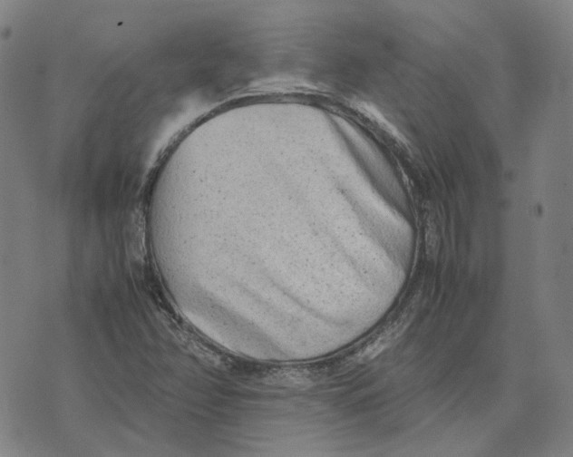 X0000074231358200609151636