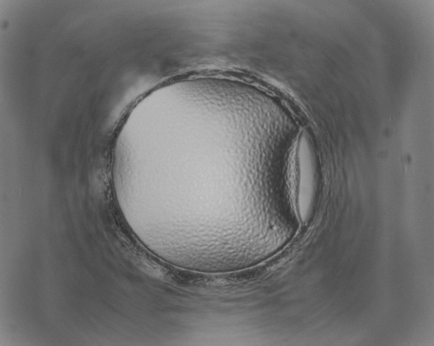 X0000074231359200609151636