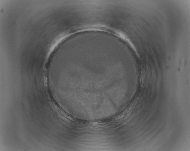 X0000074231360200609151636