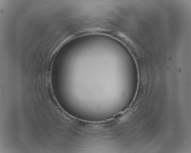 X0000074231361200609151636