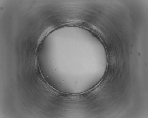 X0000074231362200609151636