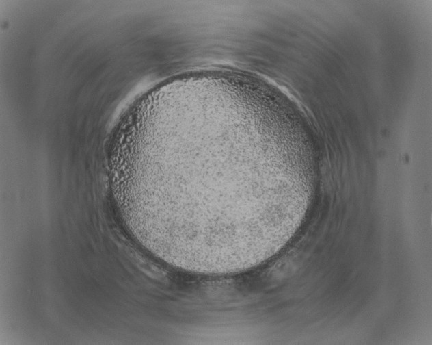 X0000074231363200609151636