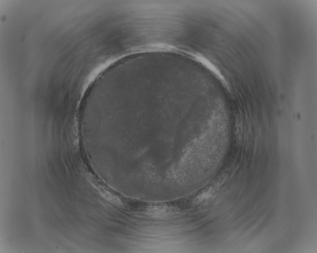 X0000074231364200609151636